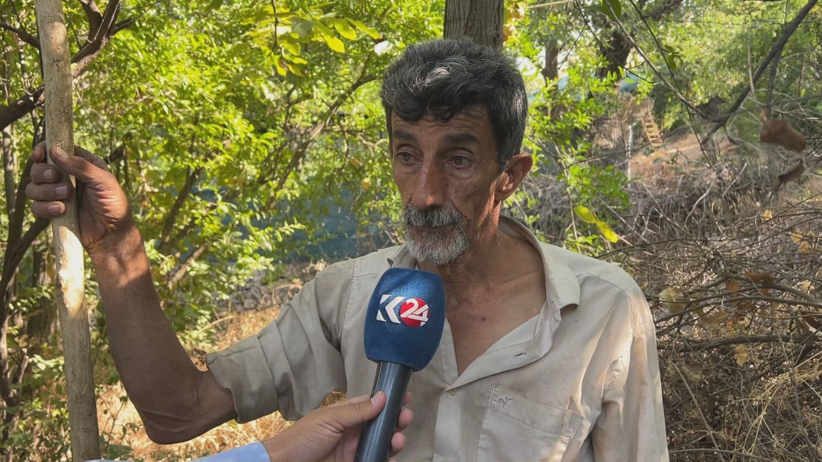 انطلاق موسم قطاف الجوز في هورامان.. وفرة في الإنتاج وجودة استثنائية تزين أسواق كوردستان