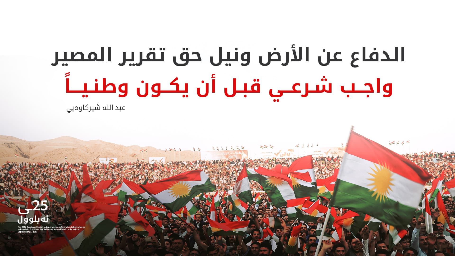 مسؤول في الأوقاف: الاستفتاء كان تجسيداً لحق إلهي مشروع وليس مجرد نشاط سياسي