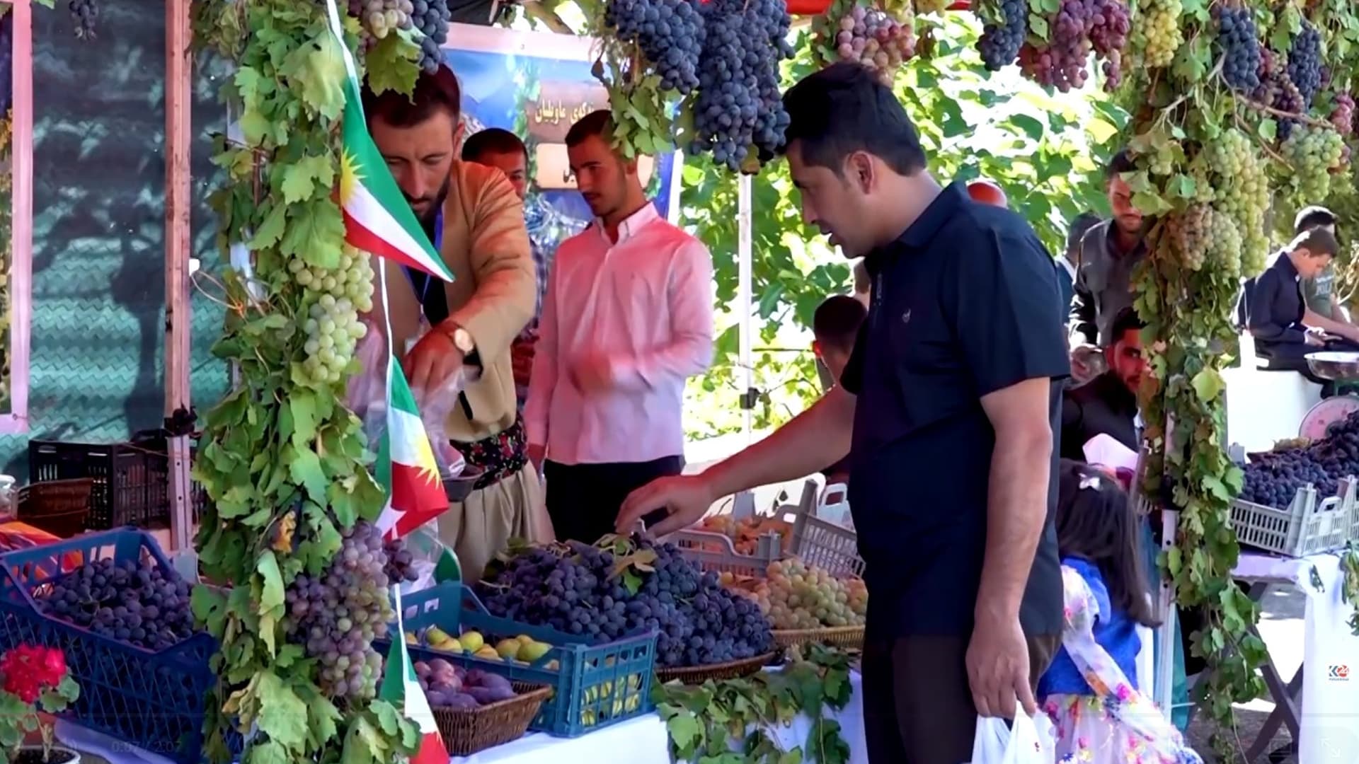 لە رواندز فێستیڤاڵێک بۆ ناساندن و بەبازاڕکردنی ترێ و بەرووبوومی ناوخۆیی بەڕێوەدەچێت