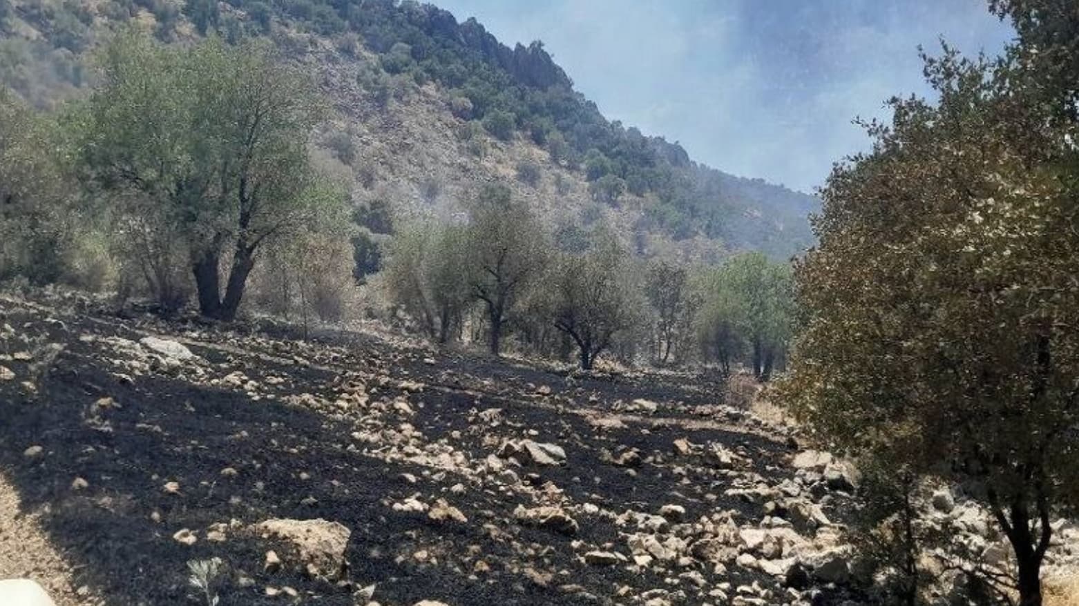 چوار هێکتار لە دارستانی بەڕووی سەردەشت سووتا