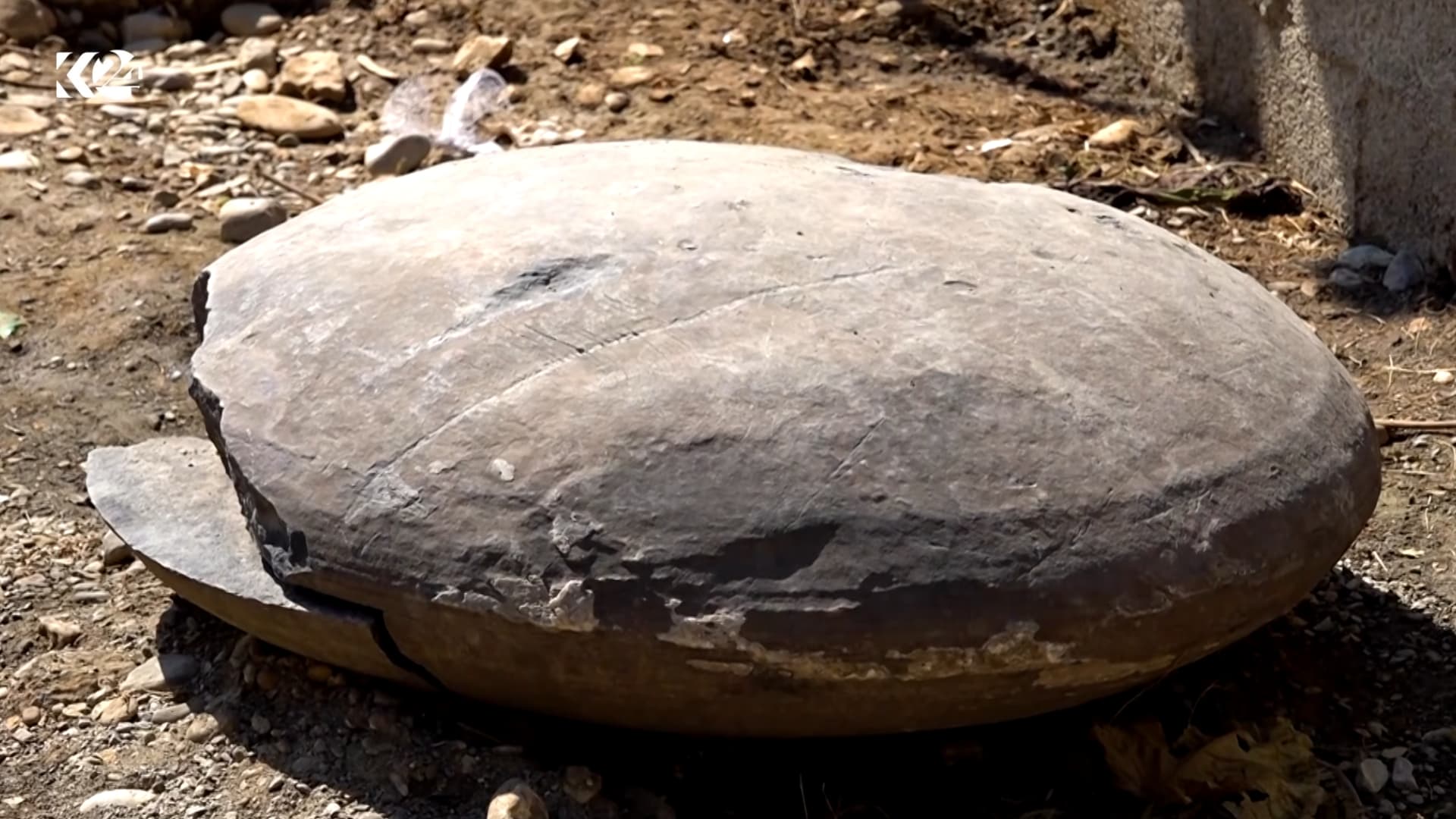 Rare Fossil Discovered Near Erbil Estimated to Be Up to 145 Million Years Old