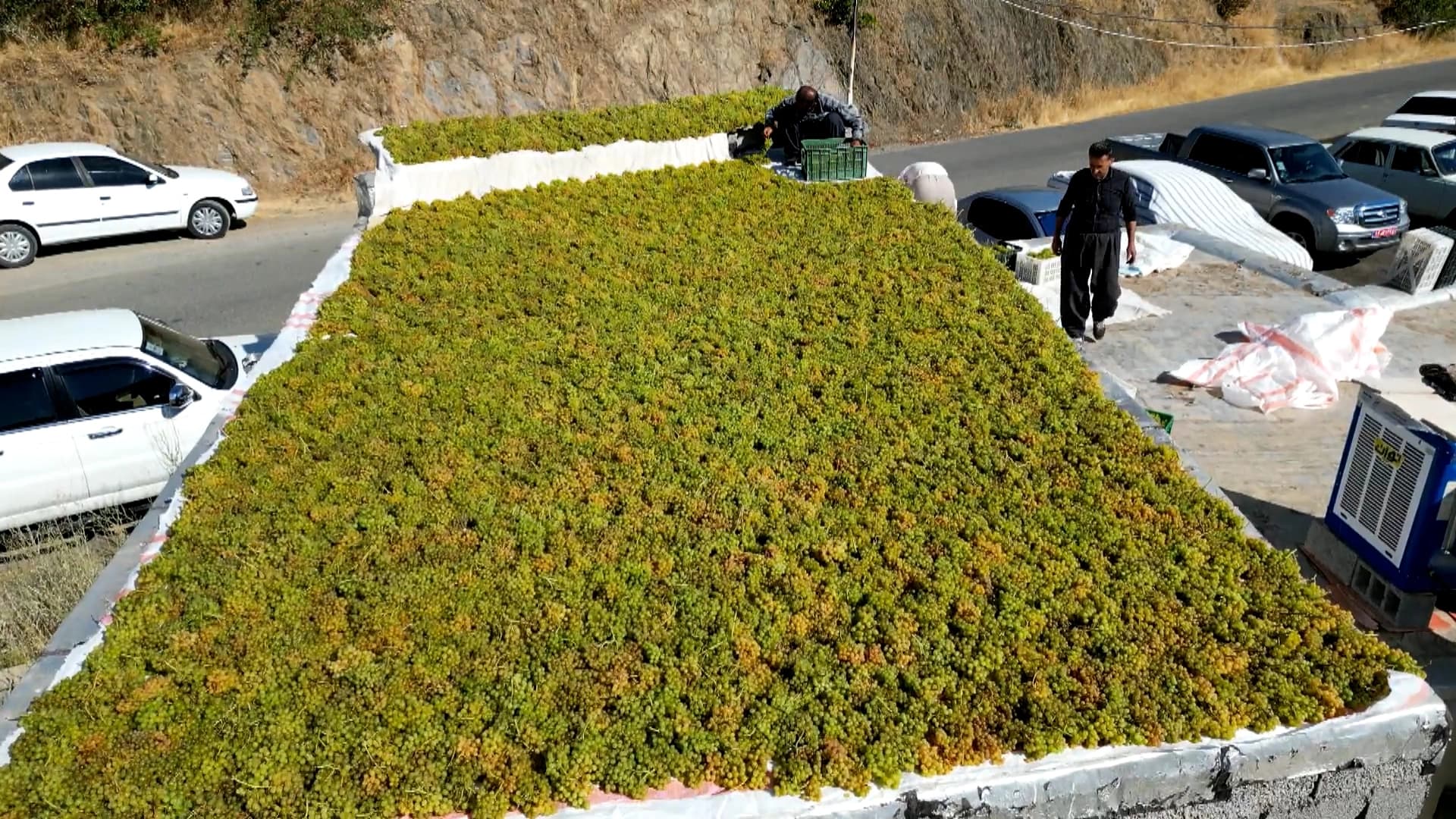 Kurdish village in Iran’s Kurdistan province becomes renowned for its raisins